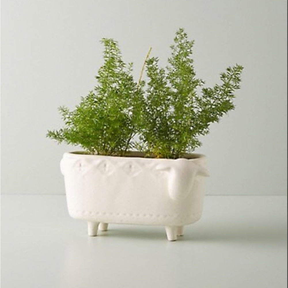 Anthropologie | Bonnie Sheep Planter